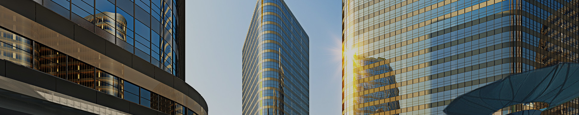 实事求是,精诚高效